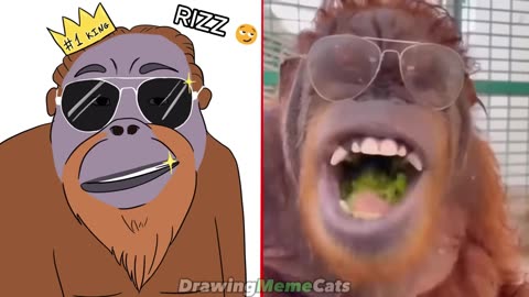 🤣Cat Memes: Funniest Animals 2023 🤣Funny Cats and Dogs | Cat Memes - Drawing Meme
