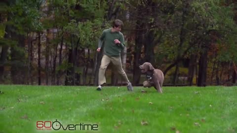 The smartest dog in the world 60 minutes