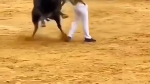 professional bullfighter