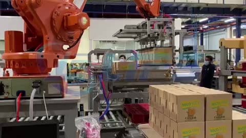 double line robot palletizer for arranged cartons #packaging#foryou#palletizer#machine