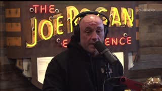 JRE: Wake Up Call to the Covidians