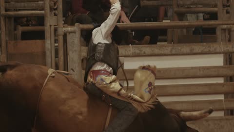 Bull Rider Rides a Furious Bull at Rodeo