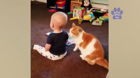 Funny Animals and Babies