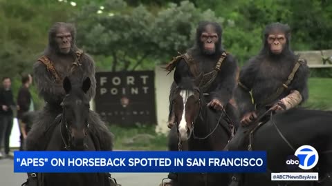 Horse-riding apes spotted in SF to promote upcoming film, 'Kingdom of the Planet of the Apes'