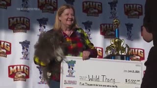 "Wild Thang" lives up to his name, wins World's Ugliest Dog Contest