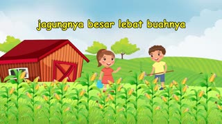 DK music anak - Menanam jagung lagu anak indonesia
