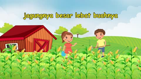 DK music anak - Menanam jagung lagu anak indonesia