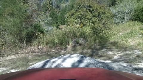 Ocala Trails Video 1