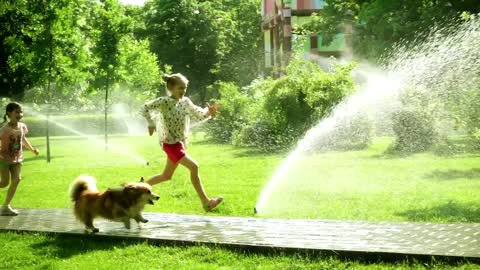 Girls playing with dog in the park