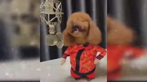 Dog singing