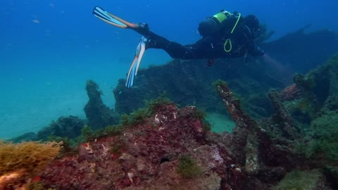 A Diver Surveying Corals Growth Underwater
