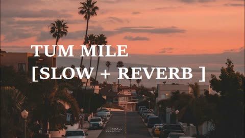 Tum Mile [Slowed+Reverb] - Javed Ali