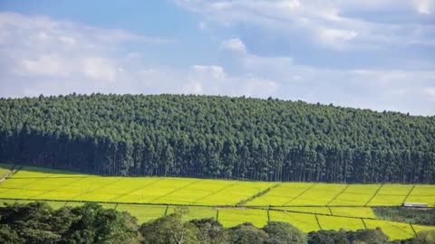 Transform Your Land Management with KLAIMS: Kenya's Revolutionary Land Asset System!