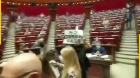 Chaos erupts in the Italian parliament