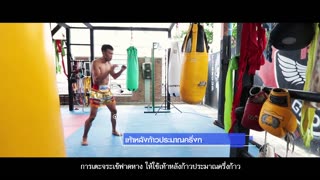 Muay Thai - Kick and Knee Technique