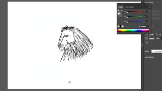 HOW TO DRAW A LION