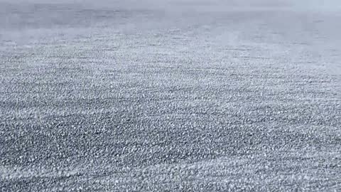 Volcanic pumice stones fill Japanese beach