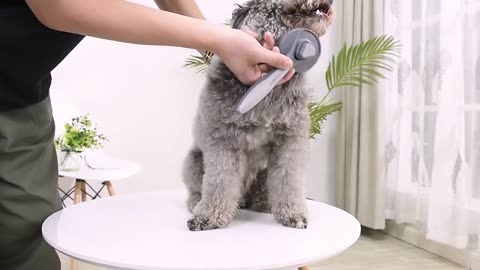 Self Cleaning Pet Hair Brush
