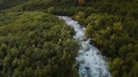 Mountain rapids