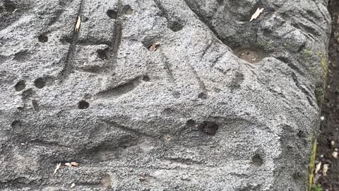 Ancient Rock With Petroglyphs?