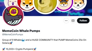 Meme Coin Whale Pumps Legal.