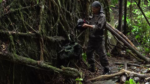 Solo Camping In The Rain Forest - Build Shelter Under a Big Rock | Primitive Villa