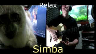 Relax Simba 5 (Music for my cat)