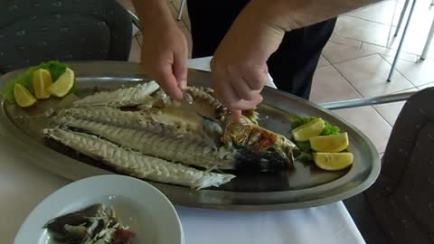 BRANZINO