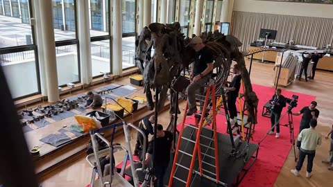 JACKPOT JURASSIC AUCTION: Massive T-Rex Skeleton Fetches GBP 5 Million In Switzerland 1