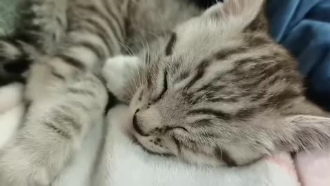 Sleeping is so cute