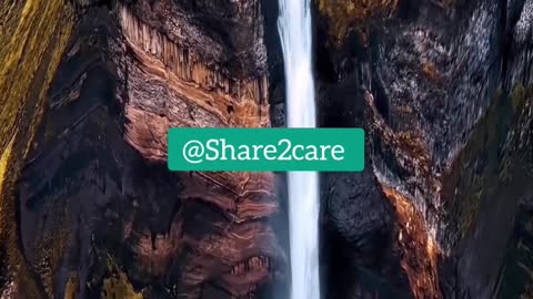 We share because we care @share2care