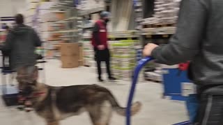 Pups on Parade at Home Depot