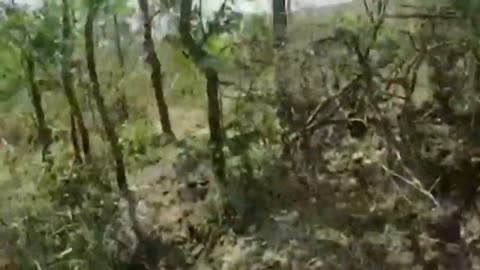 Terrifying Moment Ukraine Forces Cripple Russian Forces Near Tavria