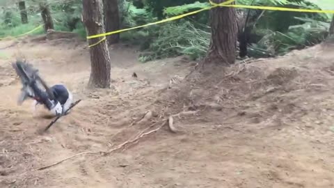 Best MTB Fails Of 2023