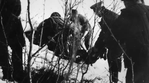 The Dytlov Pass Case