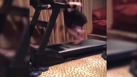 Treadmill Wipeouts!!!