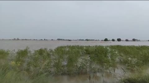 Flood in bahawalpur