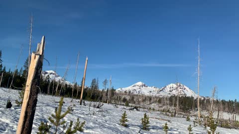 Traversing a Snowy Alpine Meadow – Upper Three Creek Lake Sno-Park – Central Oregon – 4K