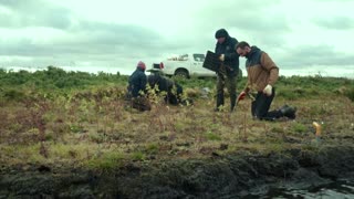 Protecting peatland could slow climate change