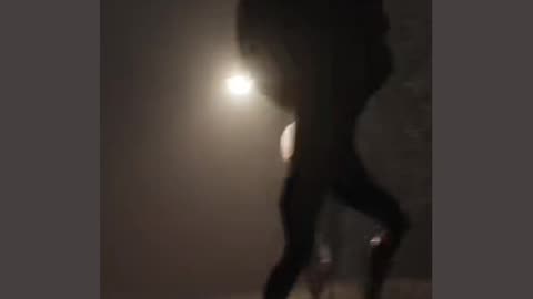 Bizarre creatures run away from giants in the middle of the road at night... - SURREAL!