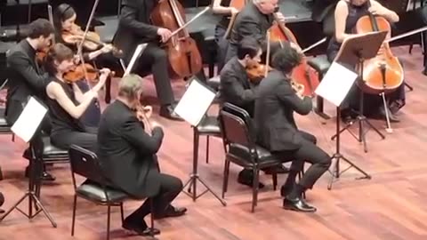 Video shows a cat strutting across the stage as an orchestra performed in Istanbul, Turkey.