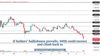 Shiba Inu (SHIB) Holders’ Accumulation Could Trigger Recovery