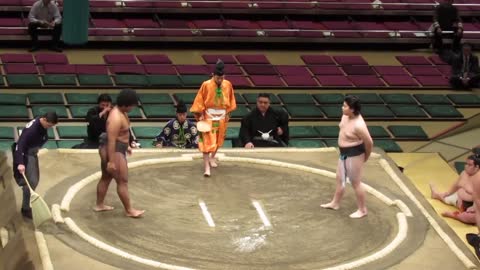【若一郎】デビュー戦 Japanese-American Sumo Wrestler Makes His Debut(Jan９2017)