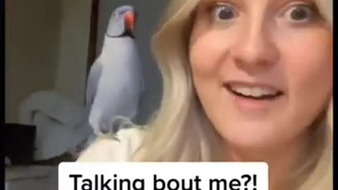 Cute Parrot Doesn't Let Me Talk 😒😇🤣