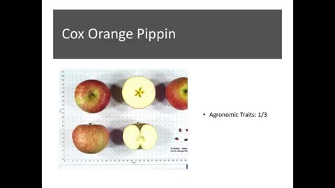 Crop Road Show 11: Rome Beauty Malinda Cox Orange Pippin Red Delicious Golden Delicious Johnathan