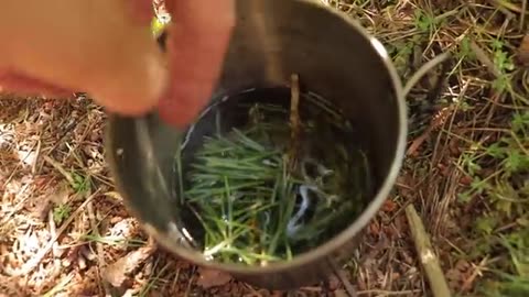 10 Wilderness Survival Tips in 10 Minutes