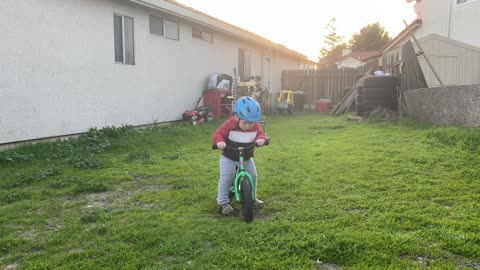 Kid Bike - First ride - Toddler - Strider Bike - Schwinn