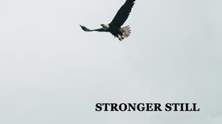 Pray USA, 1/6/23 Stronger Still