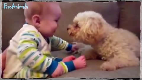 Funny Animals and Kids