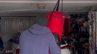 Boxing punch bag